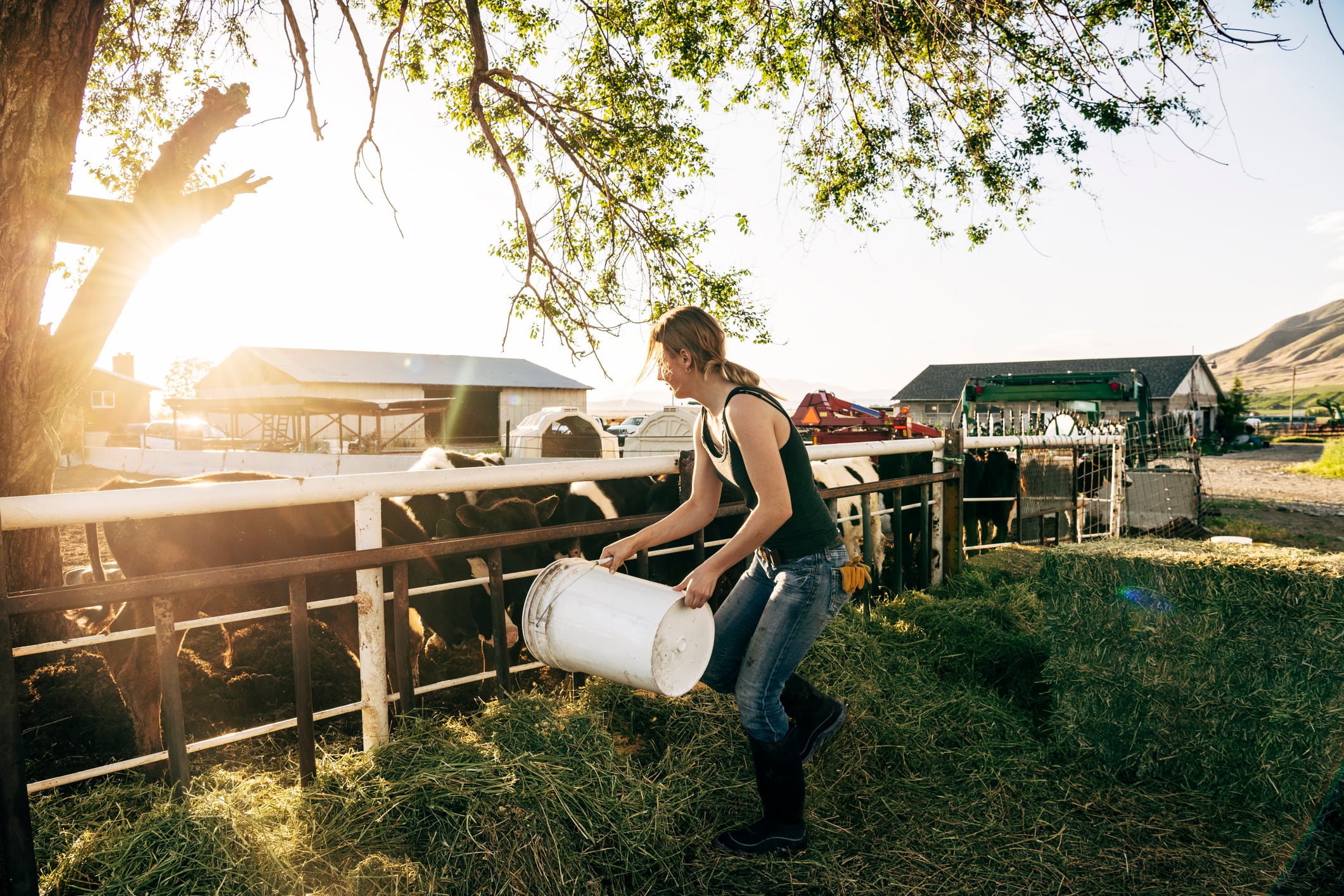 Farming jobs among least inclusive industries for women