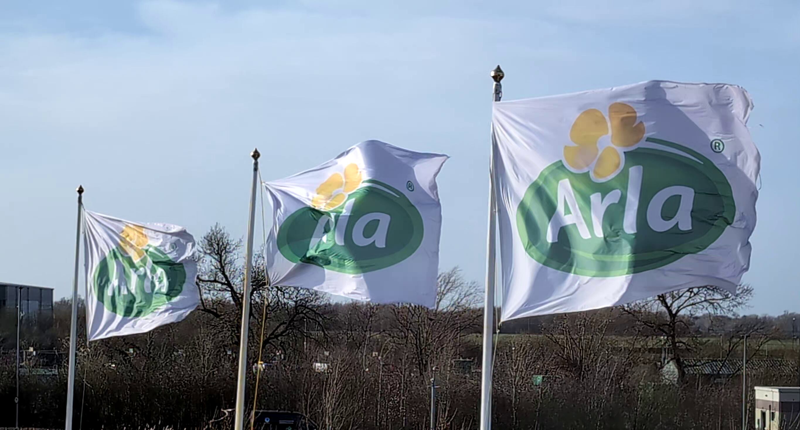 Arla Flags at the Aylesbury site