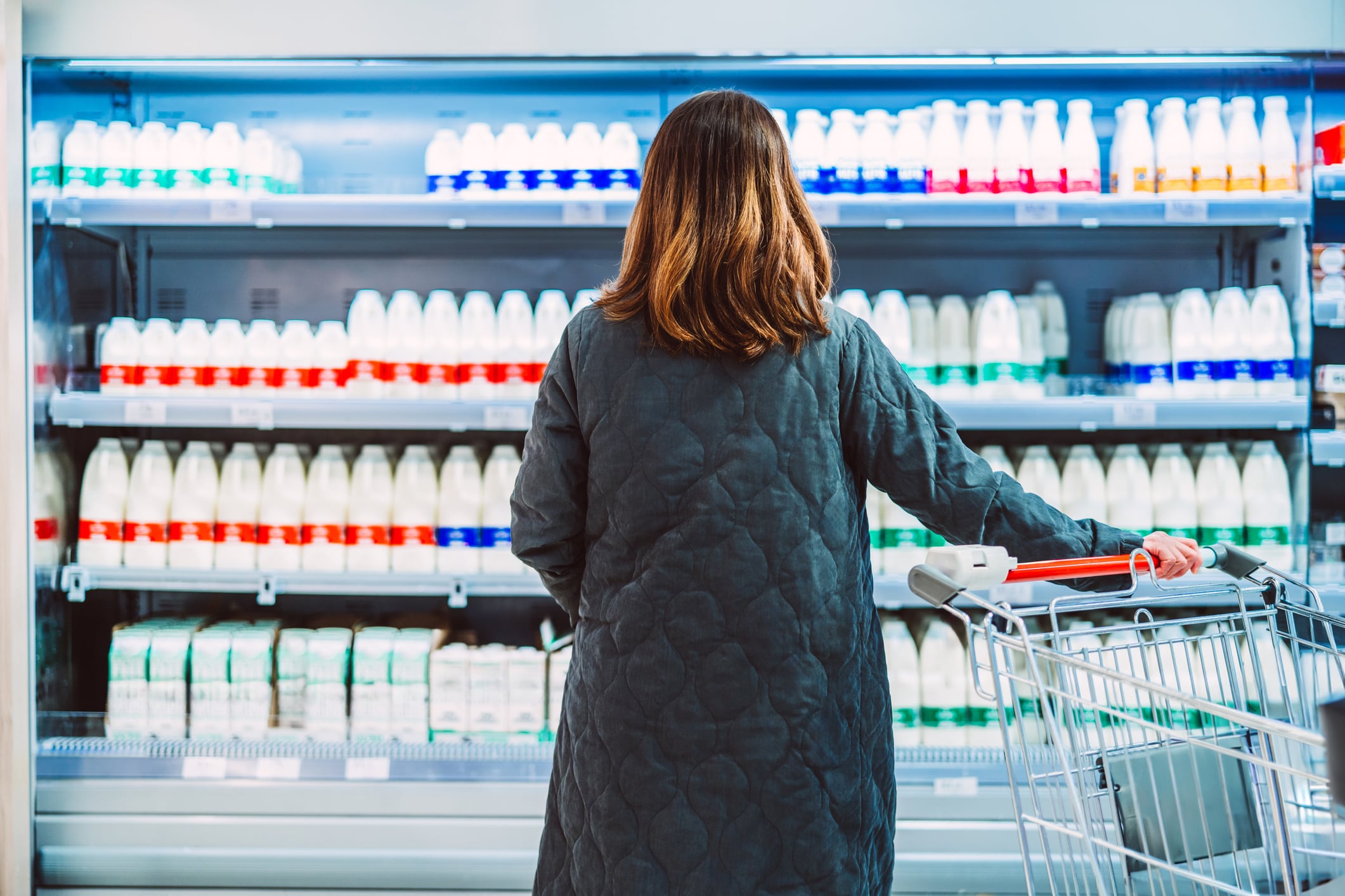 Dairy among most commonly reported food fraud globally