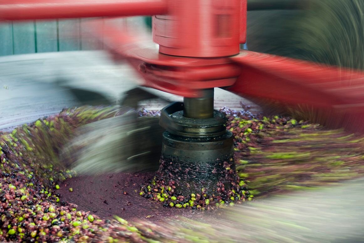 Olives.jpg
