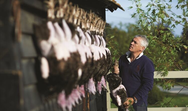 Kelly Turkeys sets itself apart from competition