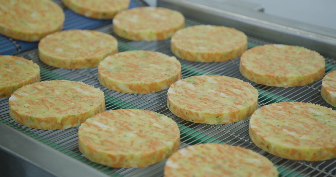 Vegetable-burger_1-cropped.jpg