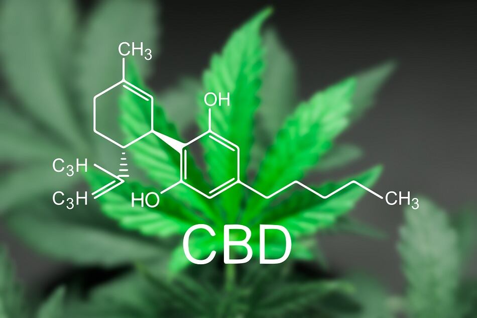 CBD science symbol and plant