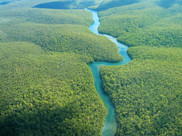 Food manufacturers must invest in innovative agriculture to meet COP26’s deforestation goal