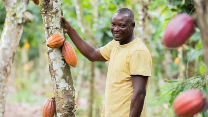 Nestlé's big cocoa plans for full segregation and fairer wages