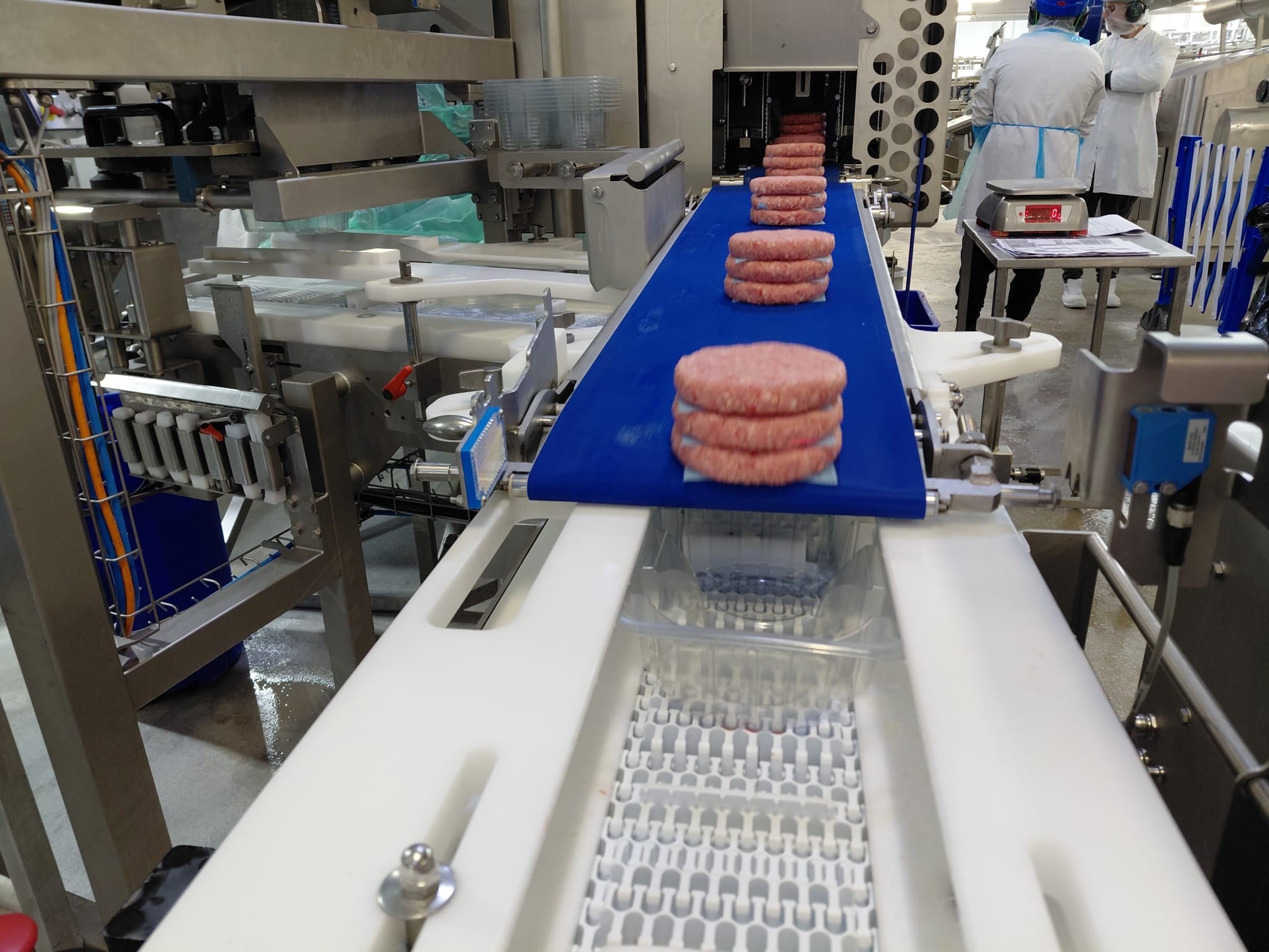 Burgers on a production line