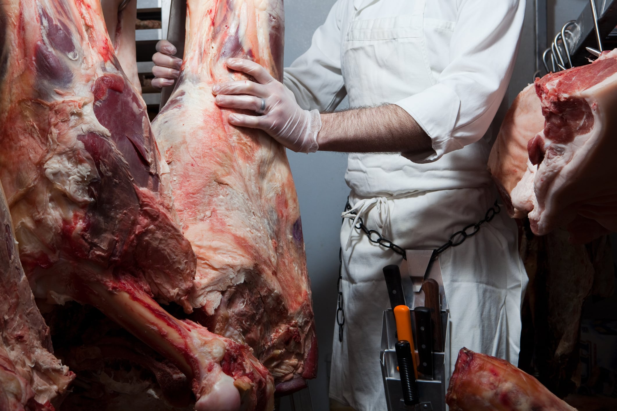 A slaughterhouse