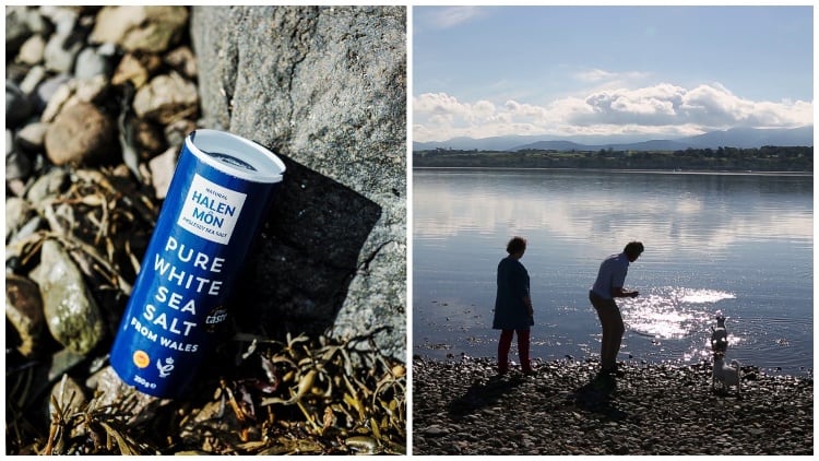 What is a B Corp and how do I achieve one?