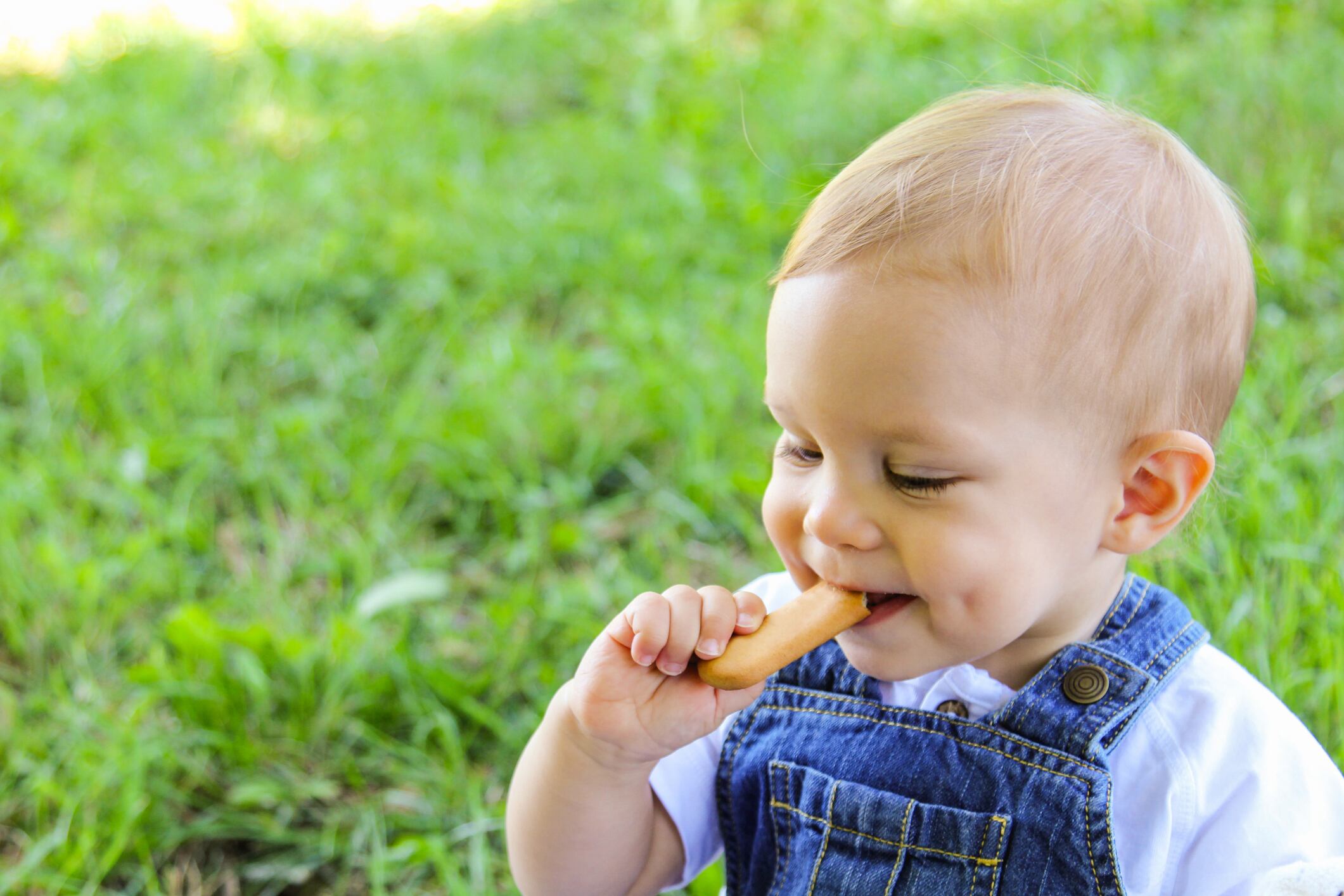 Baby boy eating a cookie in park