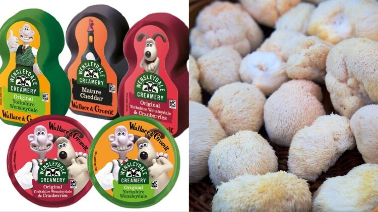 NPD round-up: Wallace & Gromit cheese and Lion’s Mane mushrooms