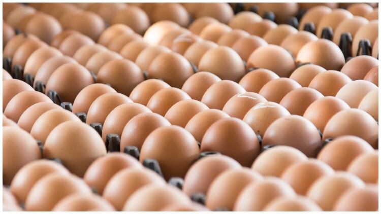Food industry calls on Government to change battery egg trade deal