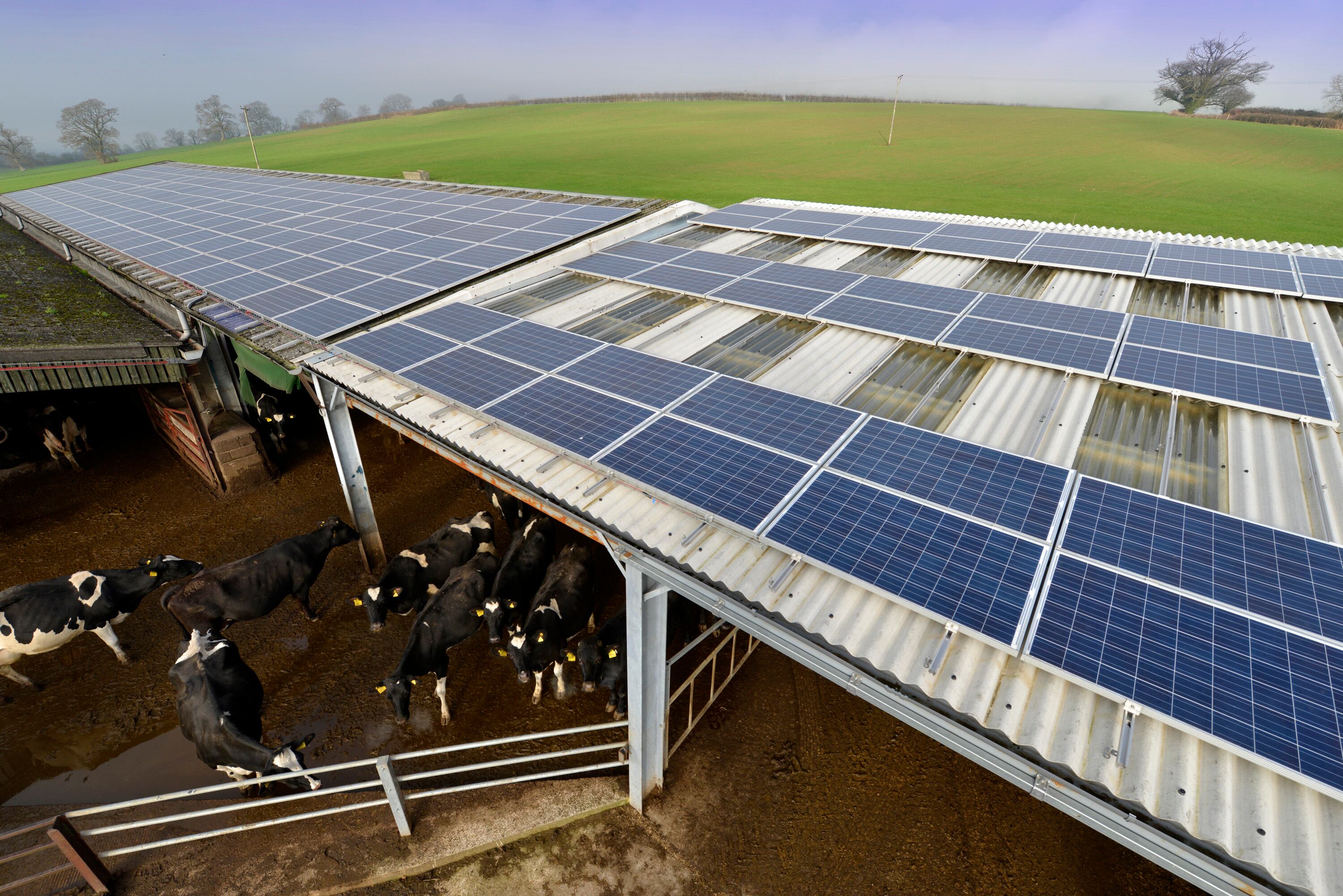 wyke-farms-solar.jpg