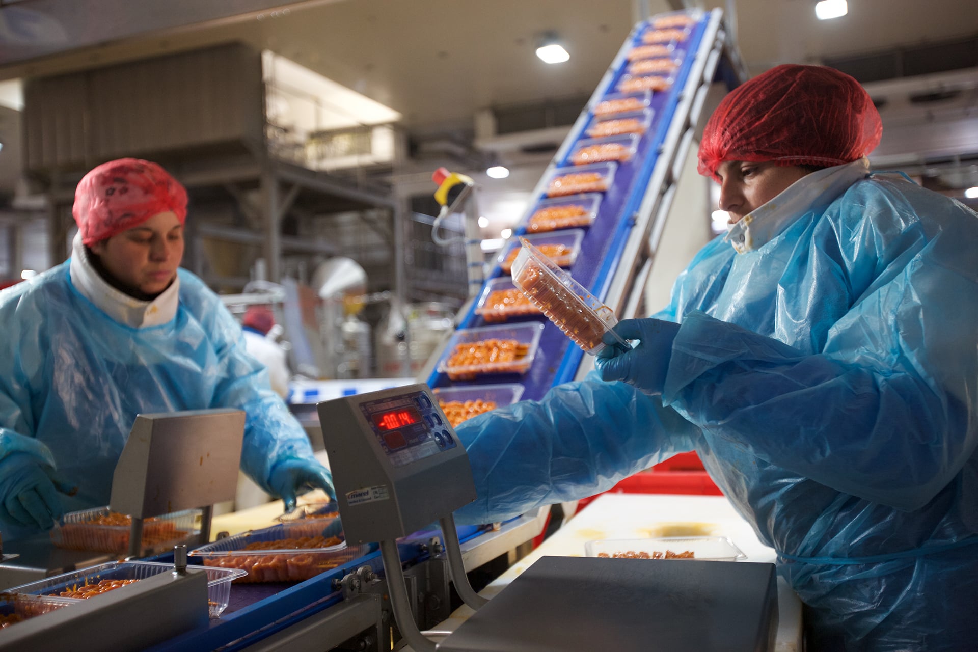 A turkey processing line.