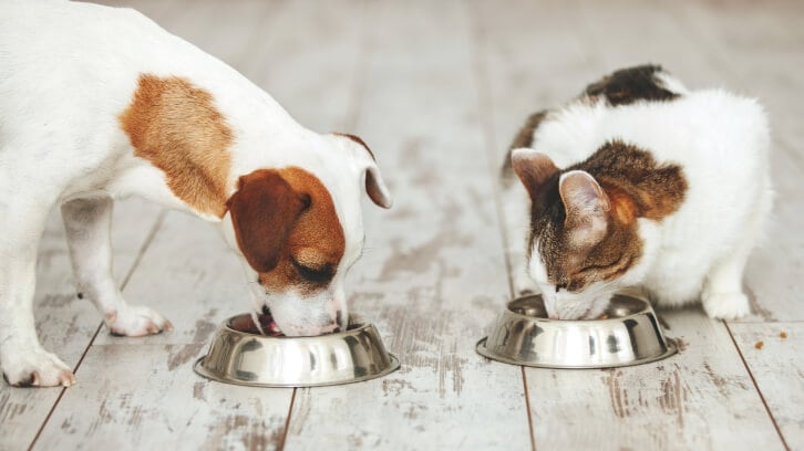 Pet health trumps cost of food