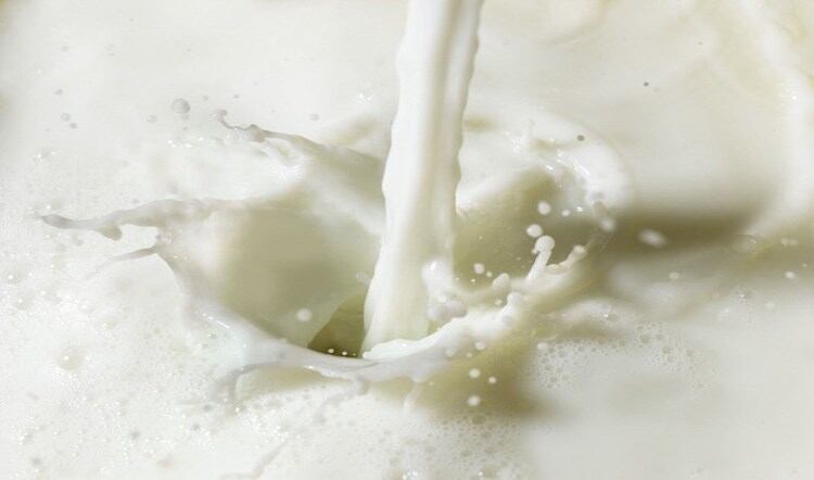 Arla Foods confirms COVID-19 cases 