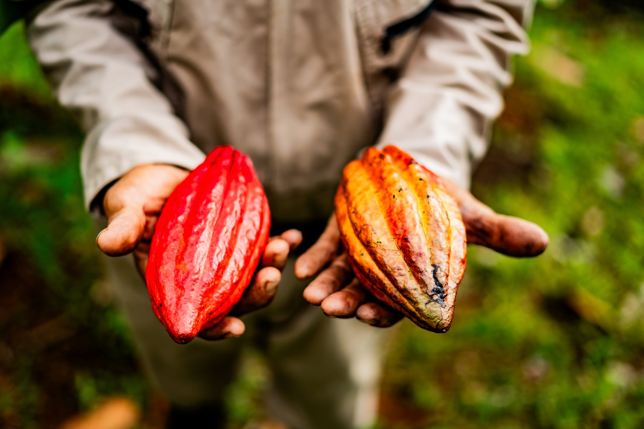 This latest acquisition is part of Made Uncommon’s broader growth strateg