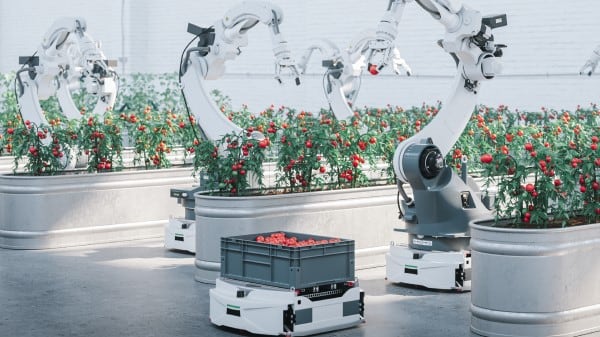 How Food & Beverage Companies Can Drive Productivity by Adopting Technology: How Possible Happens