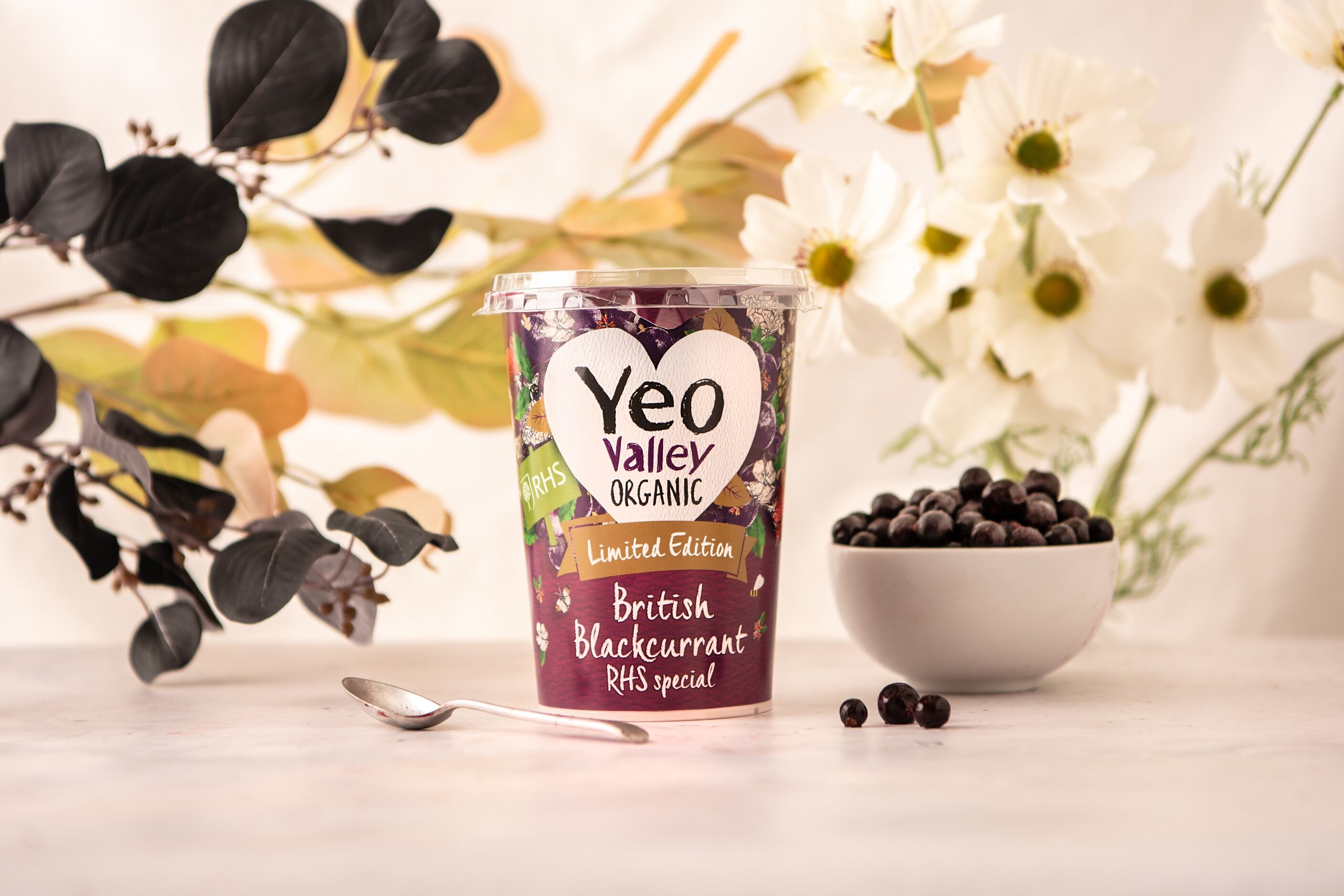 Yeo-Valley-Blackcurrant.jpg