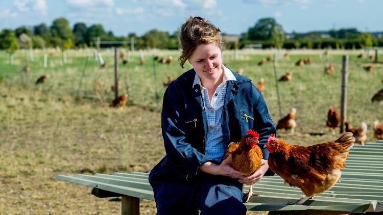 Tesco pledges additional financial support to UK egg industry