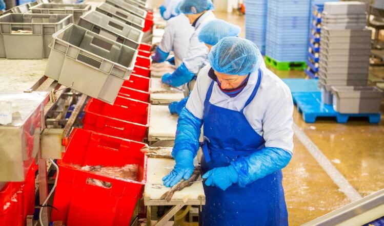Scottish seafood industry to benefit from £100k training fund
