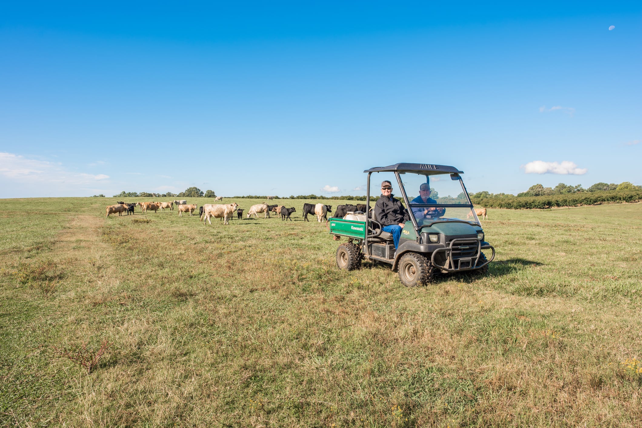 Farmer fined after worker dies in vehicle incident