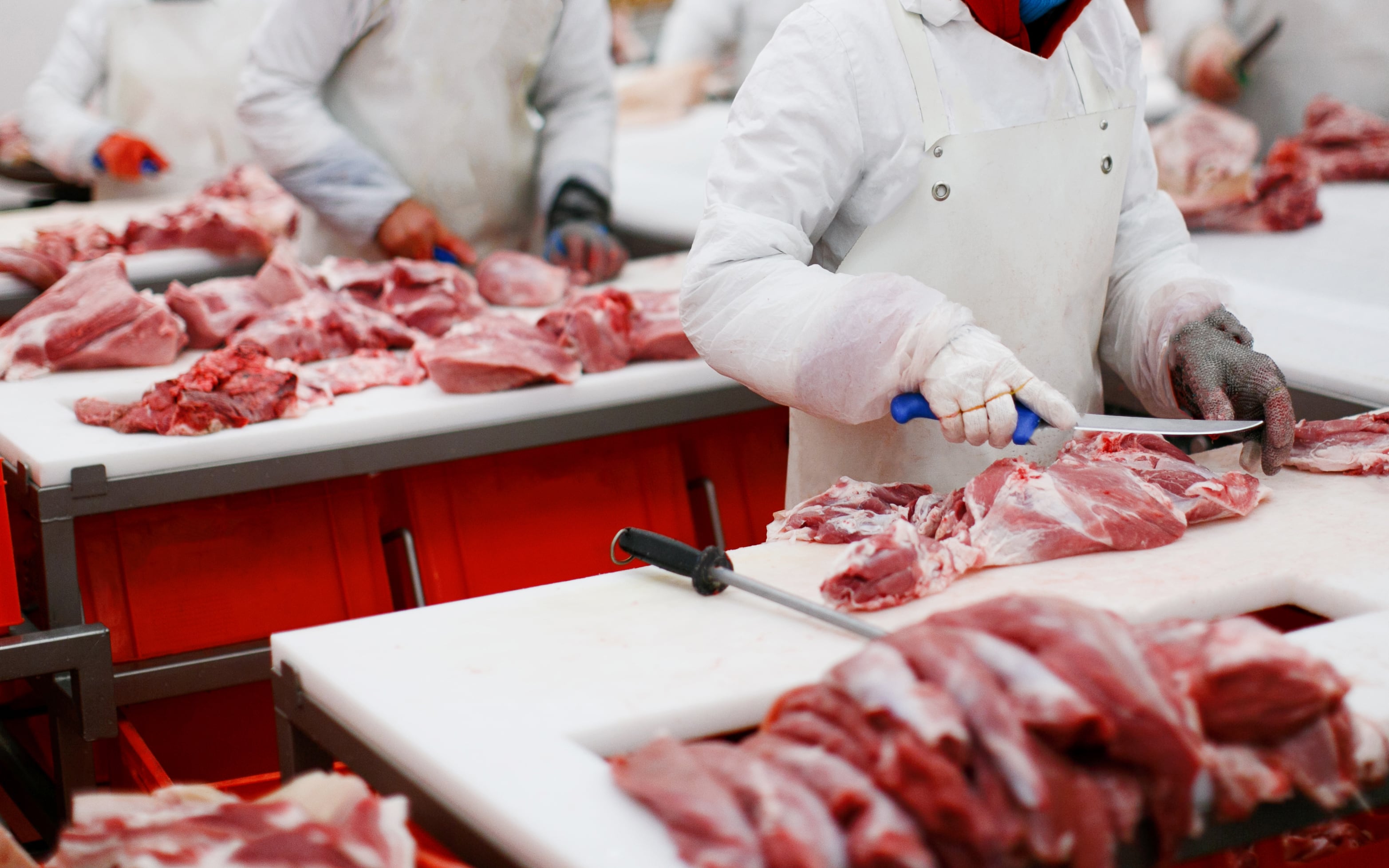 Meat cutting plant