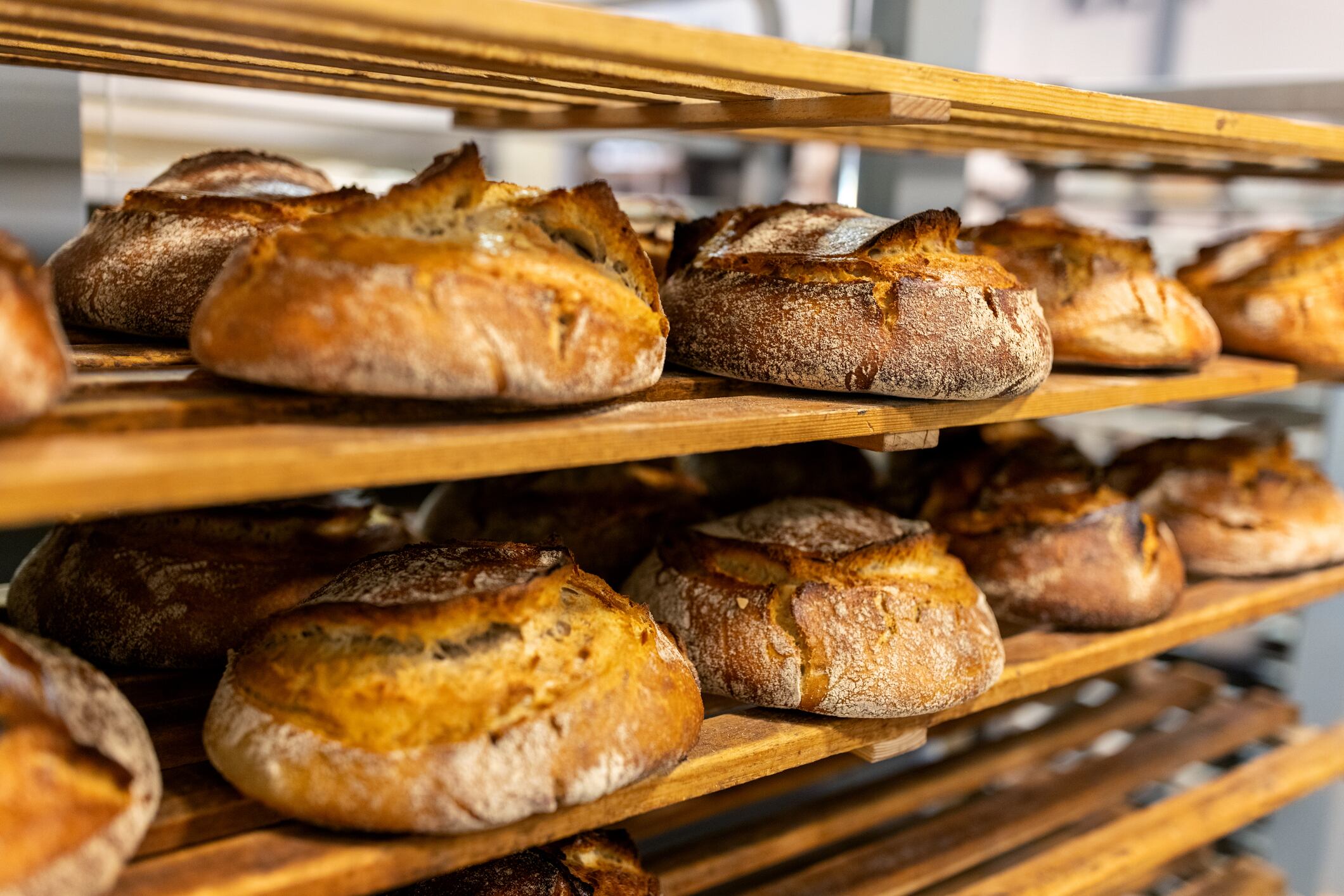 bread cooling