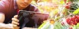 Innovating amidst the challenges: harnessing data and digital tools for NPD