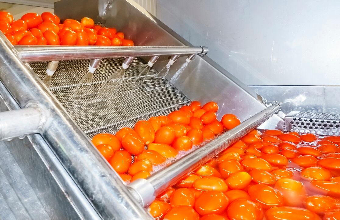 Upcycling food waste into new proteins and ingredients