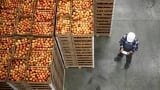 Food insecurity: navigating safety, quality and labour shortages in the modern food chain