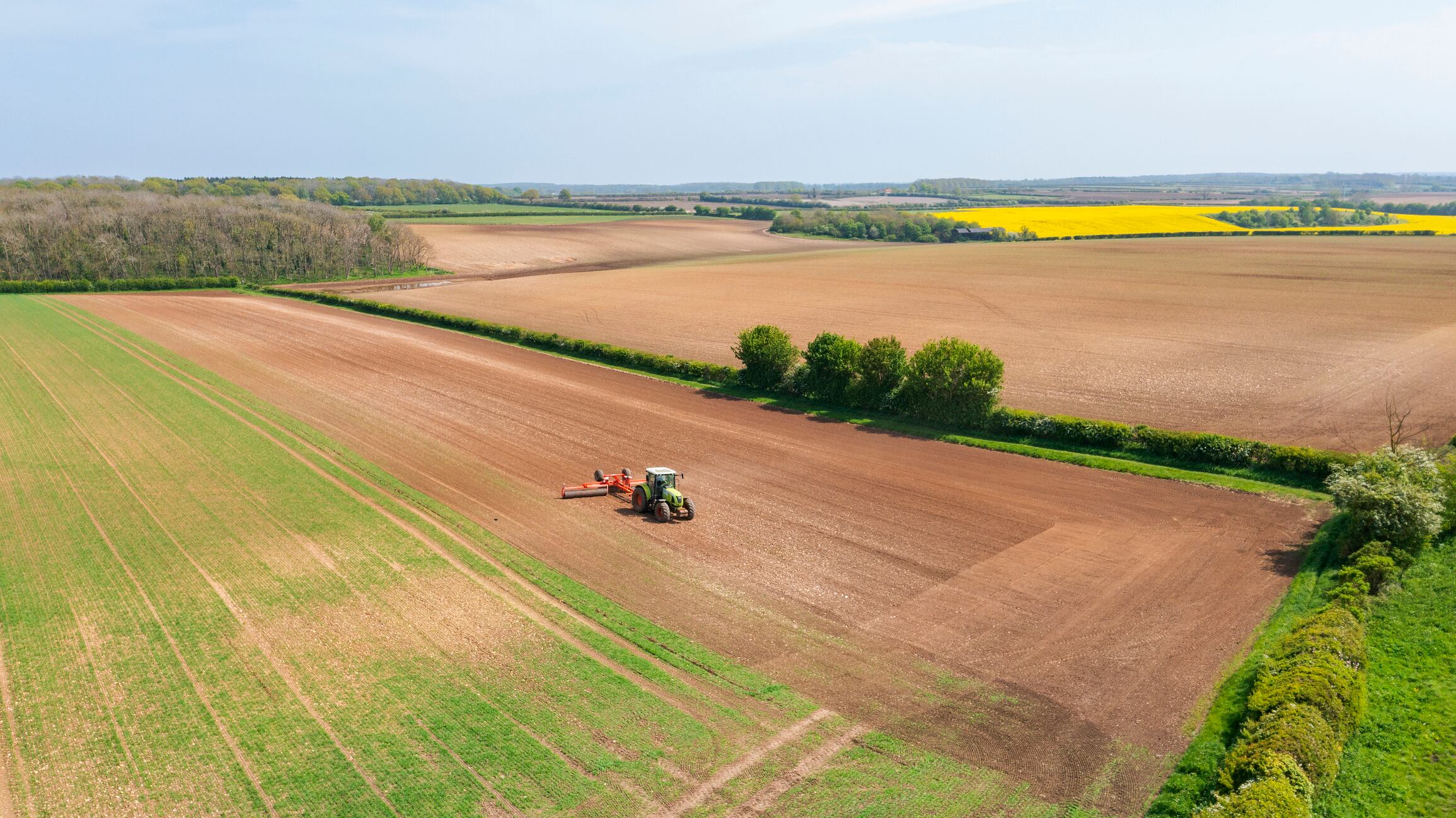 Is the government’s vision for food and farming coming into focus yet?