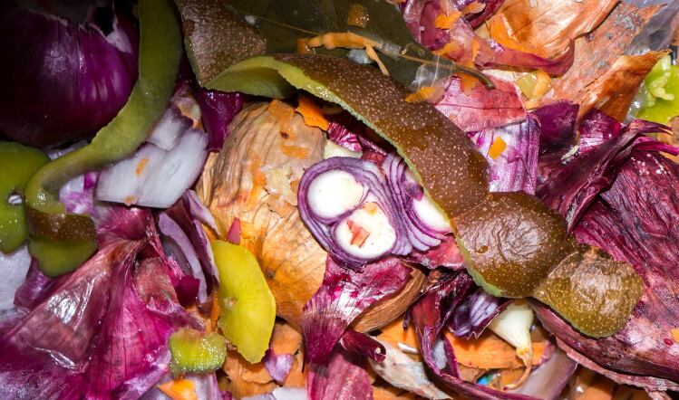 Courtauld 2025 update highlights food waste progress