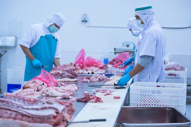 Unite calls for ‘mandatory’ social distancing in food plants 