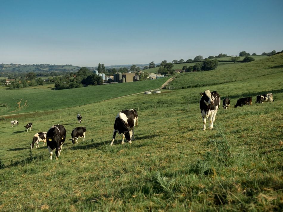 Lidl GB invests £4bn in British food 