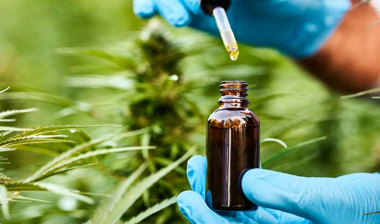 FSA issues guidance to limit CBD consumption