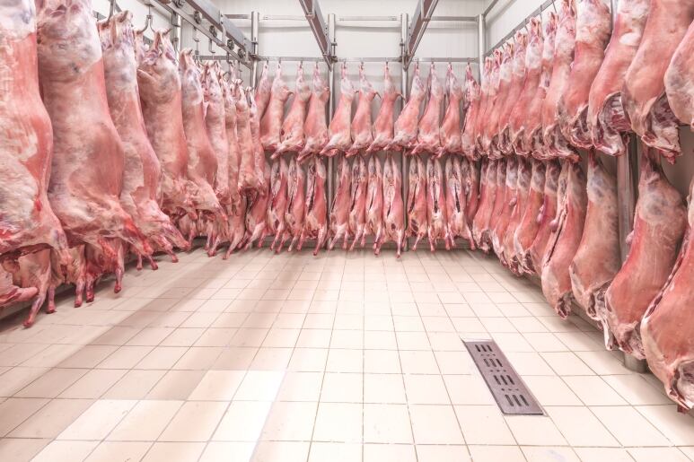 Beef strong during lockdown, but lamb suffers