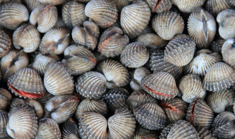 Seafood sector illegal gangmasters fined 