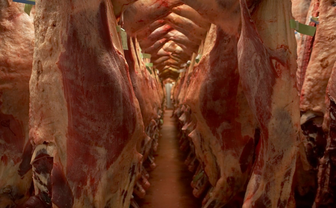 Meat wholesalers warning over labour crisis and soaring costs