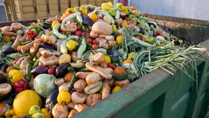Missed opportunities in food waste