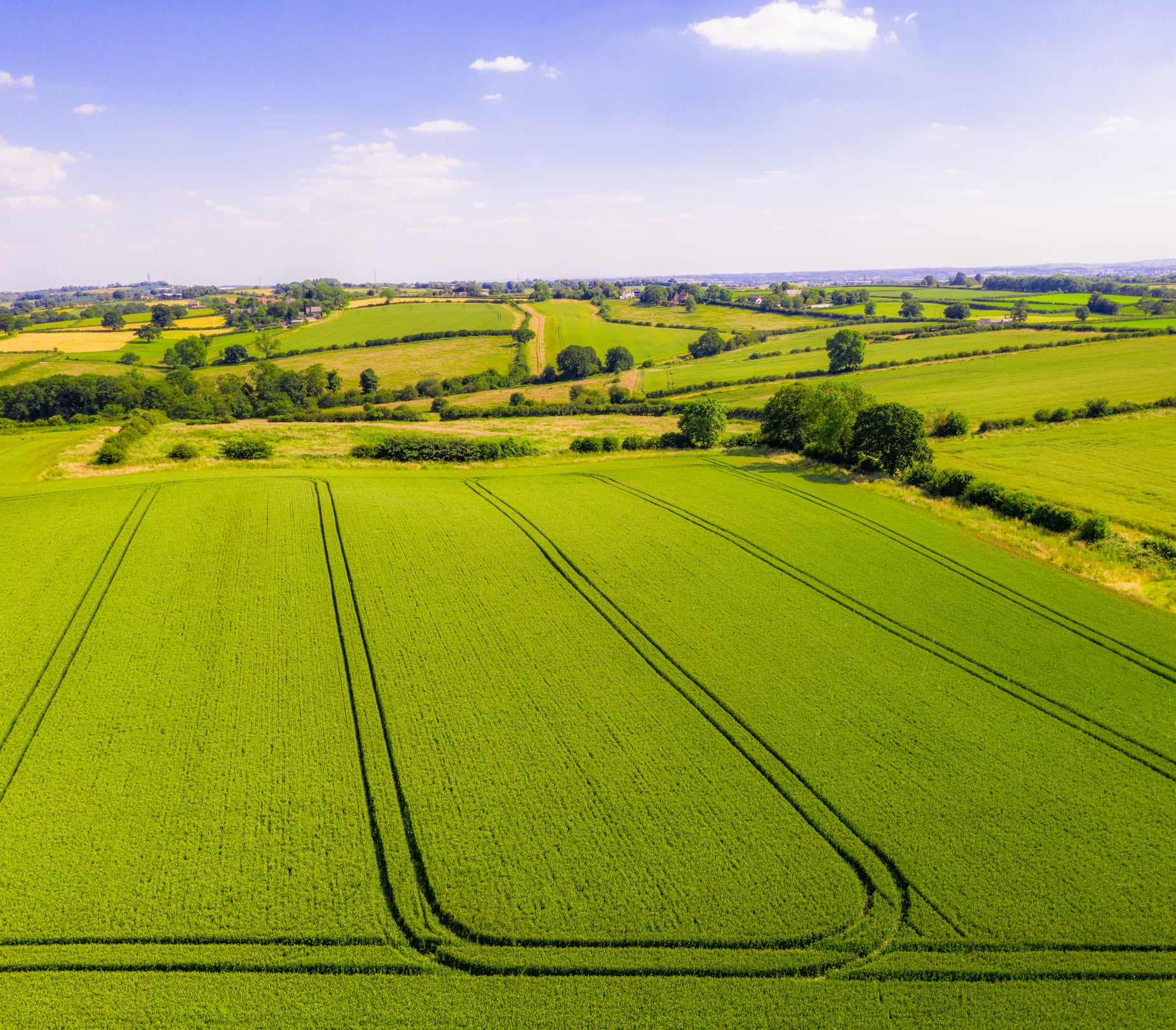 Three UK farms seeking new tenant farmers