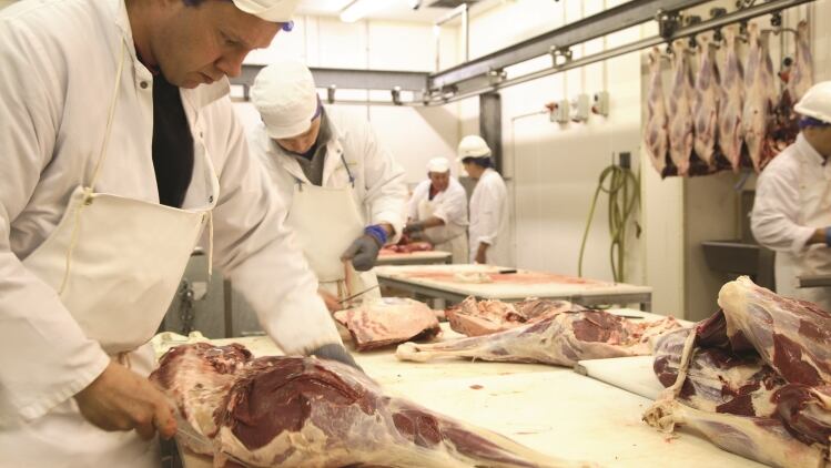 Meat supplies at risk from coronavirus labour shortages