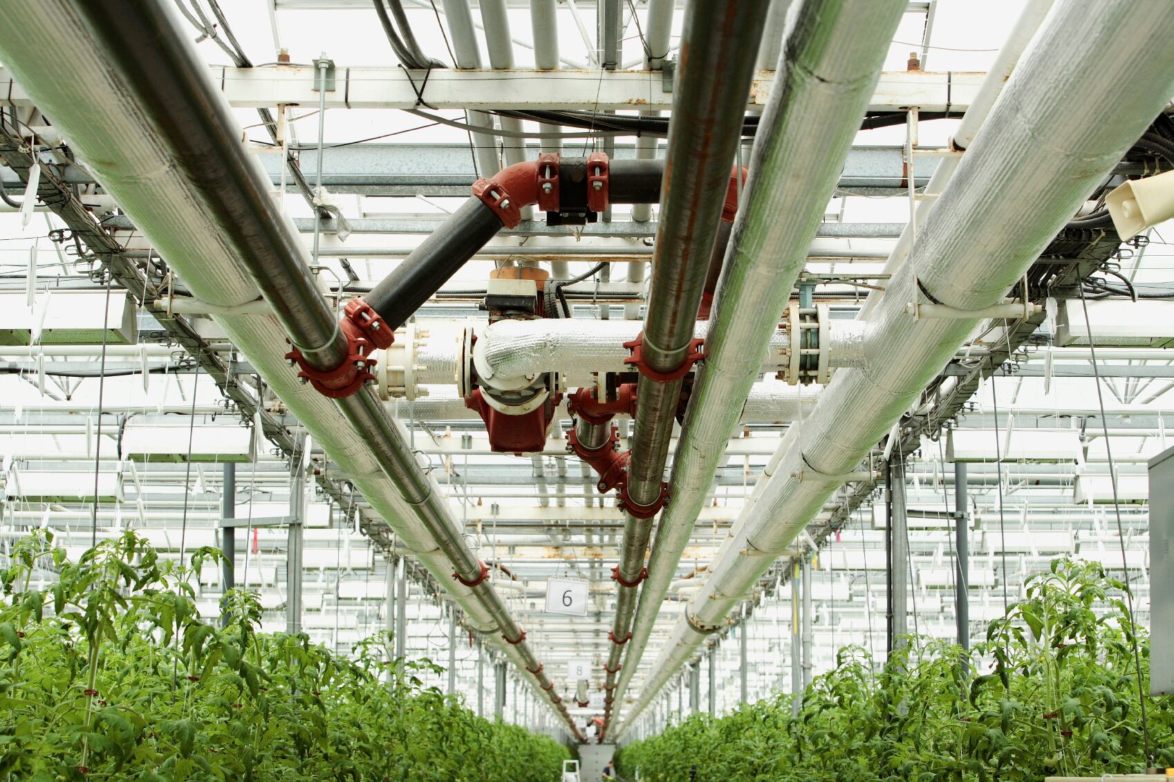 UK ahead of the curve on genetic technology
