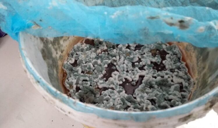 Mouldy food leads to £6k bakery fine