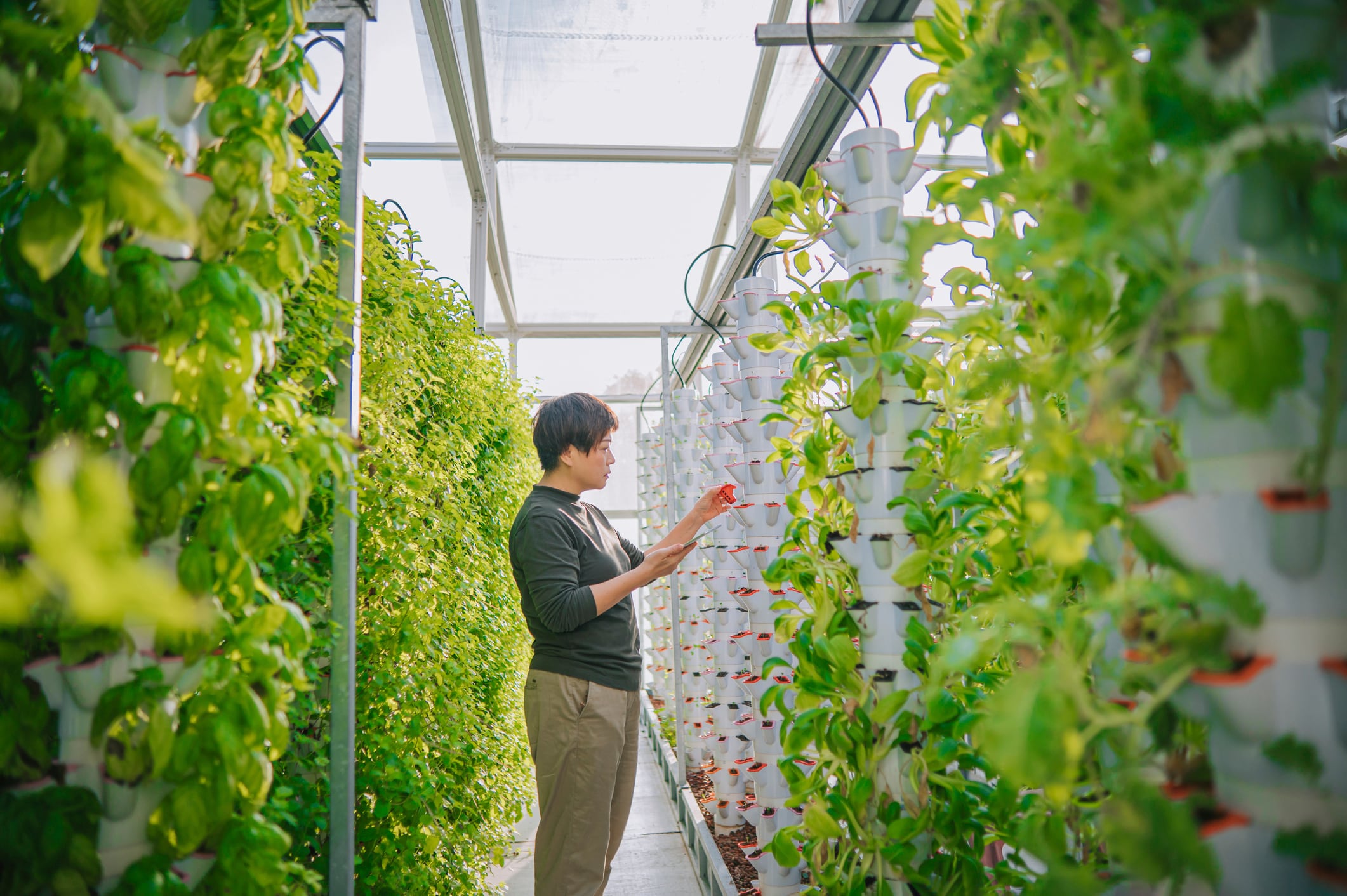 Does farming need land? 