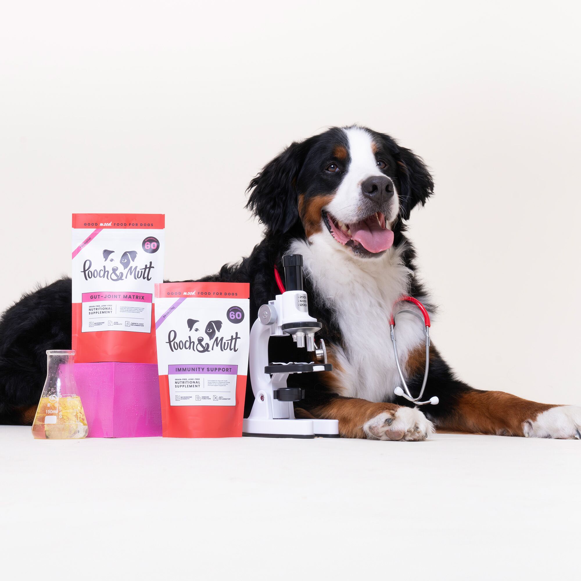 A black, white and brown dog with several Pooch & Mutt products and a science tube.