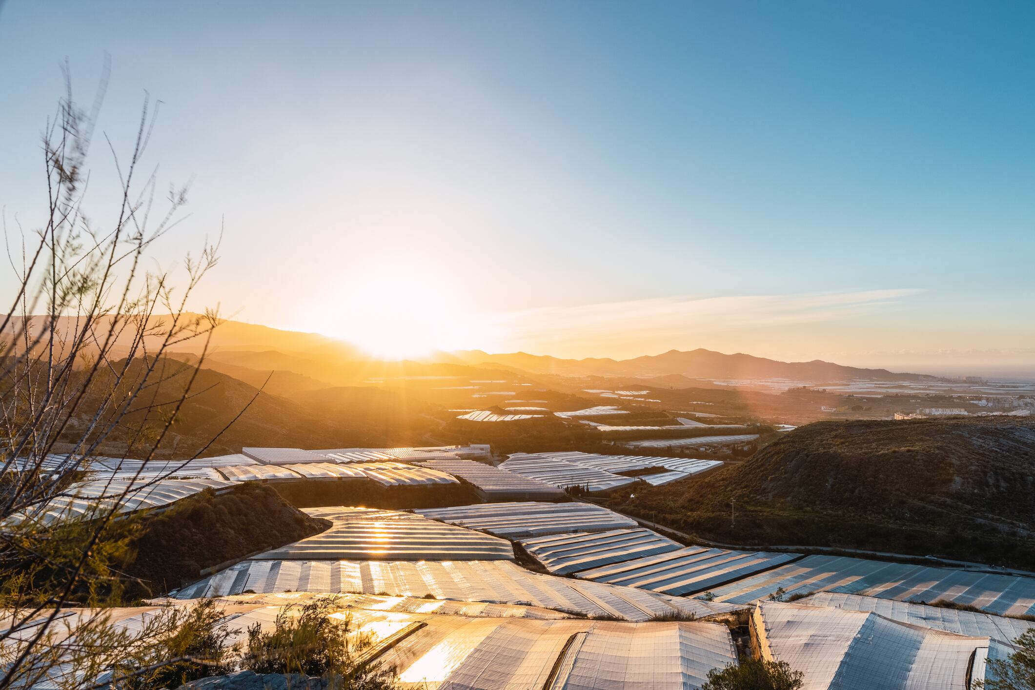 Much of the UK's fruit and veg supply comes from mass operations like the sea of tomato greenhouses in southern Spain.