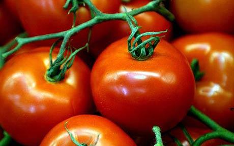 Fruit and veg shortages raise questions over UK food security 