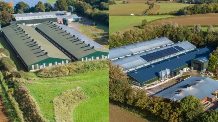 Two poultry farms with combined £4.9m guide price put up for sale