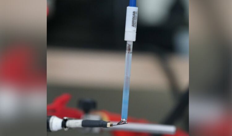 Biosensor identifies aging byproducts in meat
