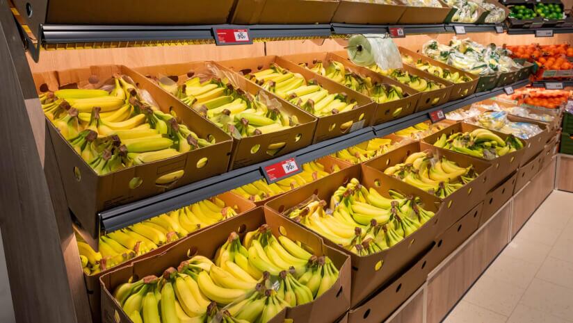 Lidl to roll out ‘industry-first’ tool for banana supply chain